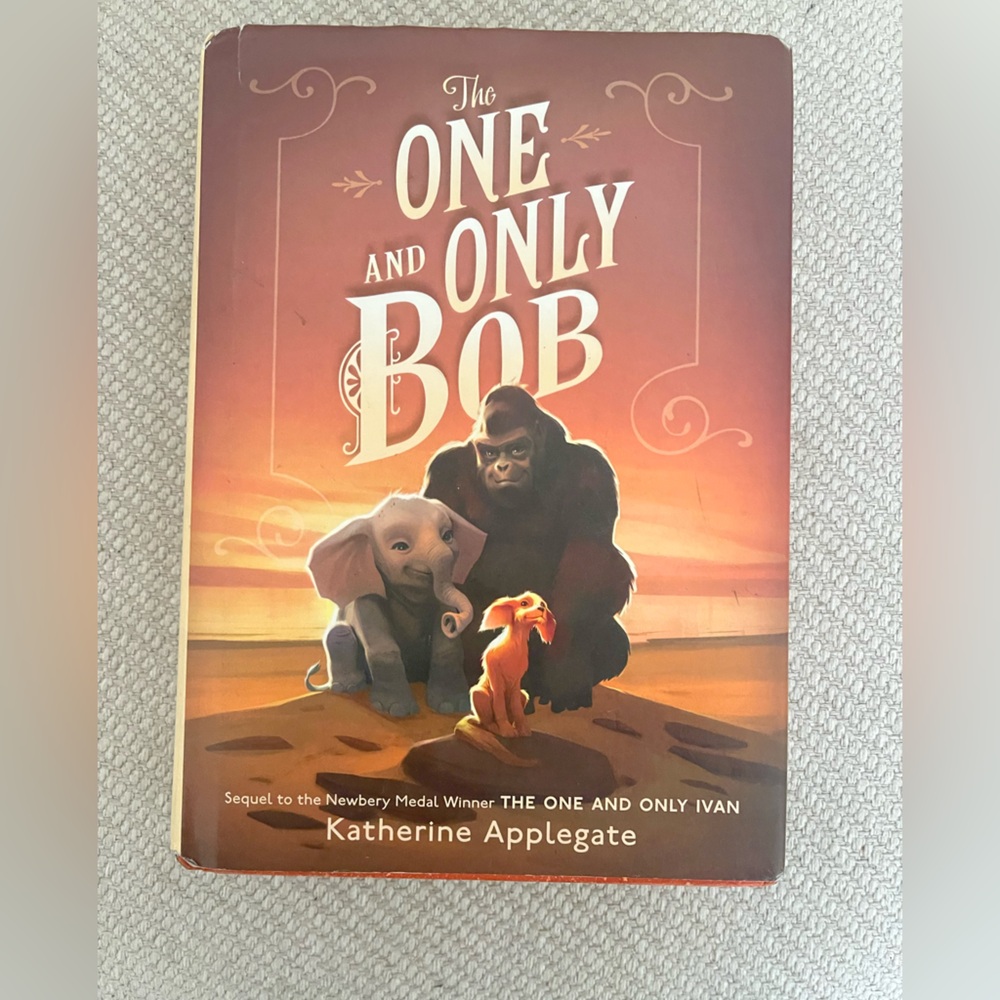 The One and Only Bob Book